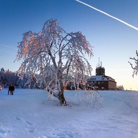 The Deluxe: Ski-to-market Luxury With Garden Apartment Winterberg