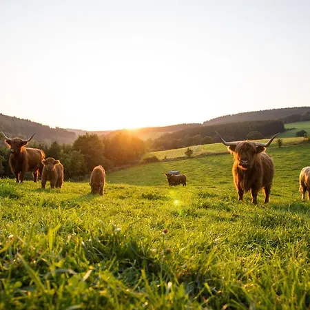 The Deluxe - Exklusive Ausstattung, Bestlage Zwischen Skikarussell Und Marktplatz, Eigener Garten, Ski- Und Fahrradraum, Ruhige Suedausrichtung, Wlan, Hundefreundlich