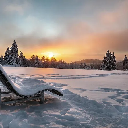 The Deluxe: Ski-to-market Luxury With Garden Apartment Winterberg