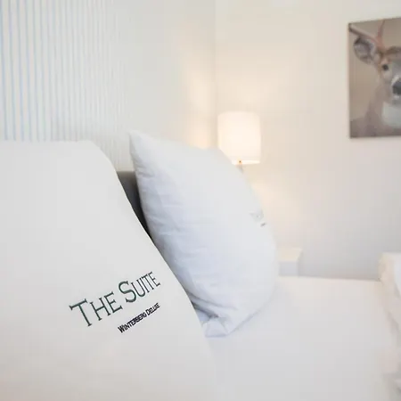 Apartament The Deluxe - Exklusive Ausstattung, Bestlage Zwischen Skikarussell Und Marktplatz, Eigener Garten, Ski- Und Fahrradraum, Ruhige Suedausrichtung, Wlan, Hundefreundlich Winterberg