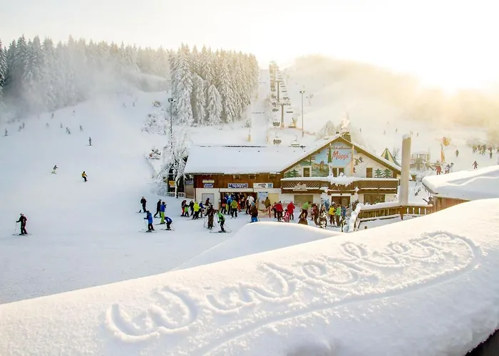 The Deluxe - Exklusive Ausstattung, Bestlage Zwischen Skikarussell Und Marktplatz, Eigener Garten, Ski- Und Fahrradraum, Ruhige Suedausrichtung, Wlan, Hundefreundlich Appartement *