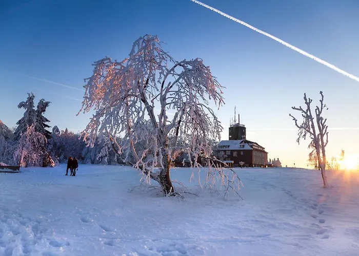 The Deluxe - Exklusive Ausstattung, Bestlage Zwischen Skikarussell Und Marktplatz, Eigener Garten, Ski- Und Fahrradraum, Ruhige Suedausrichtung, Wlan, Hundefreundlich 아파트 빈터베르크