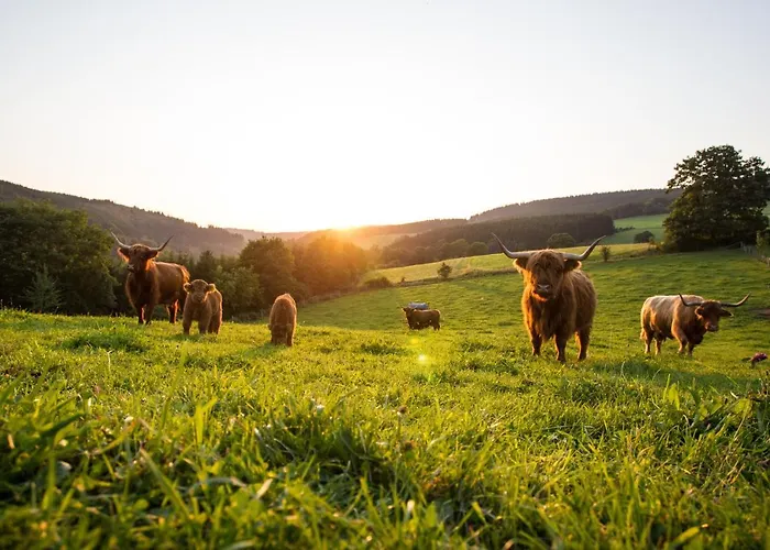 The Deluxe - Exklusive Ausstattung, Bestlage Zwischen Skikarussell Und Marktplatz, Eigener Garten, Ski- Und Fahrradraum, Ruhige Suedausrichtung, Wlan, Hundefreundlich